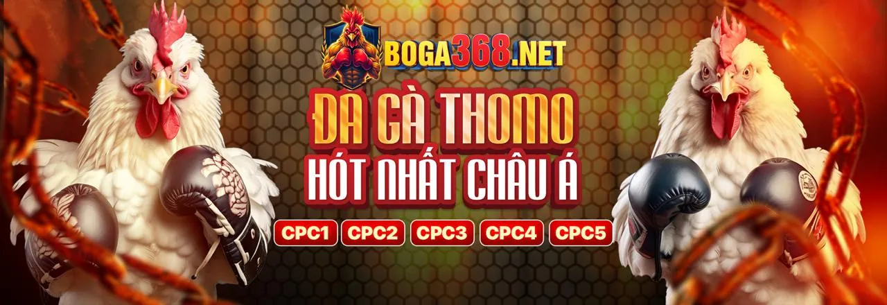 Đá gà trực tuyến kịch tính tại ae388 app
